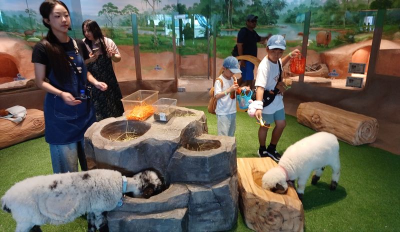 제주신화월드 모모쥬 동물원 내부 모습