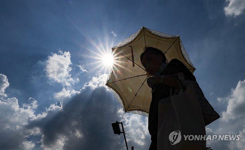 양산 필요한 무더위 (출처=연합뉴스)