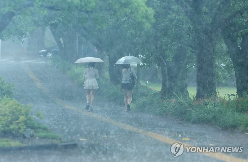 게릴라성 폭우 쏟아지는 제주 (출처=연합뉴스)