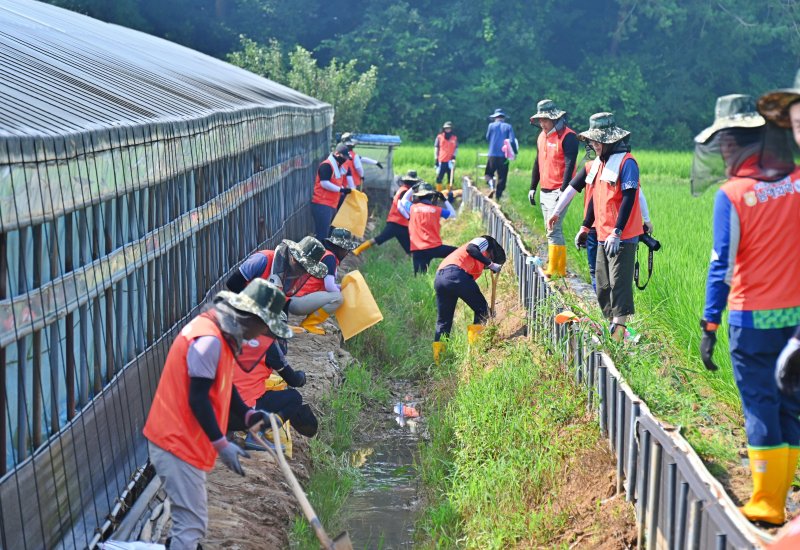 농협광주본부와 남해화학 임직원들이 침수 피해를 입은 광주 평동지역을 찾아 농경지 배수로 정비활동을 펼치고 있다. (사진=농협광주본부 제공) photo@newsis.com