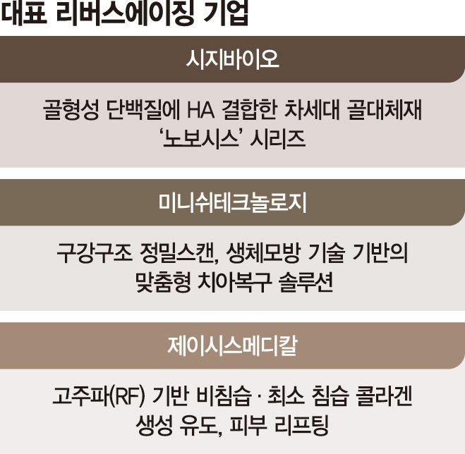 노화 되돌린다… 바이오업계 ‘리버스에이징 붐’