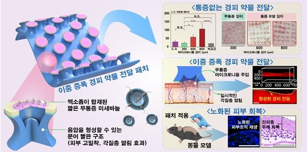 피부 깊숙한 진피층까지 약물 전달 가능한 이중 증폭 경피 약물 전달 패치의 구조 및 작용 메커니즘. (사진=성균관대 제공) *재판매 및 DB 금지