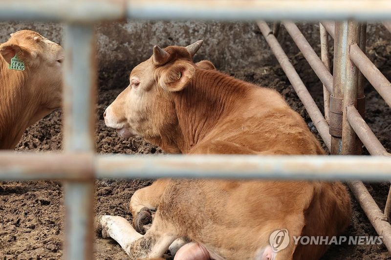 /사진=연합뉴스