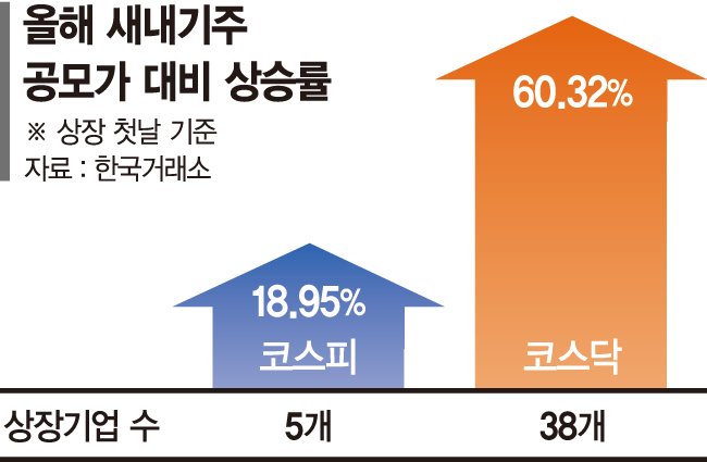 중소형 새내기주 훨훨 나는데… 대어급 IPO는 실종