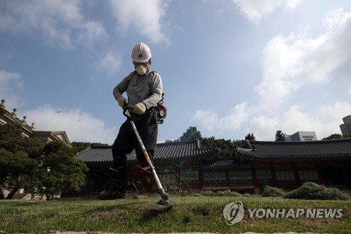 '폭염경보' 발령 포항서 제초작업 나섰던 40대 외국인 사망 (출처=연합뉴스)