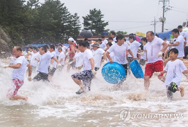 오징어를 잡아라 (출처=연합뉴스)