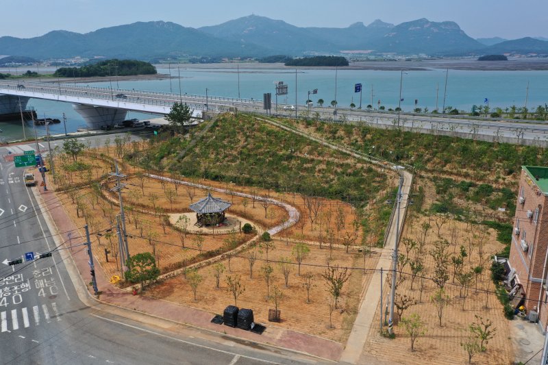 [광주=뉴시스] 전남 완도군은 25일 군외면 원동교차로 일원 '3.4㏊에 '기후 대응 도시숲'을 조성했다고 밝혔다. (사진=완도군 제공). 2025.07.25. photo@newsis.com *재판매 및 DB 금지