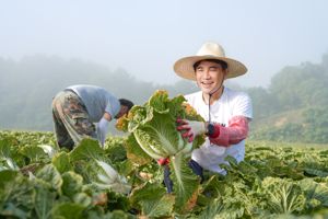 최신 뉴스 이미지