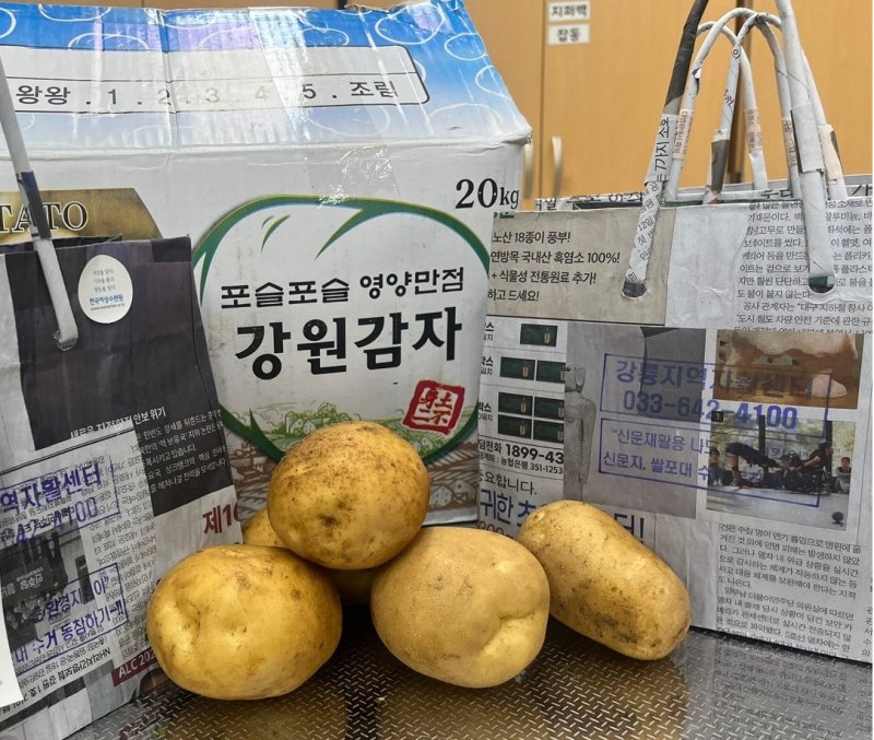 신문지 가방에 담을 감자 (출처=연합뉴스)