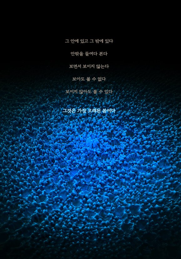 남궁환 ENTOPTIMA _ 별의 기억 _ Souffle _ 아트파크 설치 작품 2025 *재판매 및 DB 금지