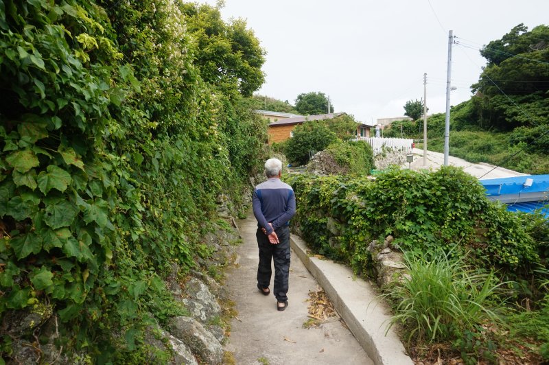 헬기장으로 이어지는 마을 뒷길. 2025.7.25/뉴스1 ⓒ News1 조영석 기자