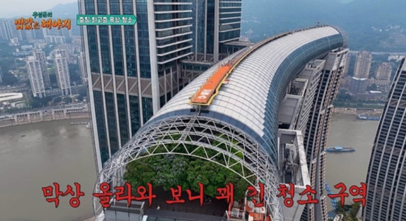 '고소공포증' 곽튜브 뒤통수 친 제작진…높이 350m 청소에 배신감