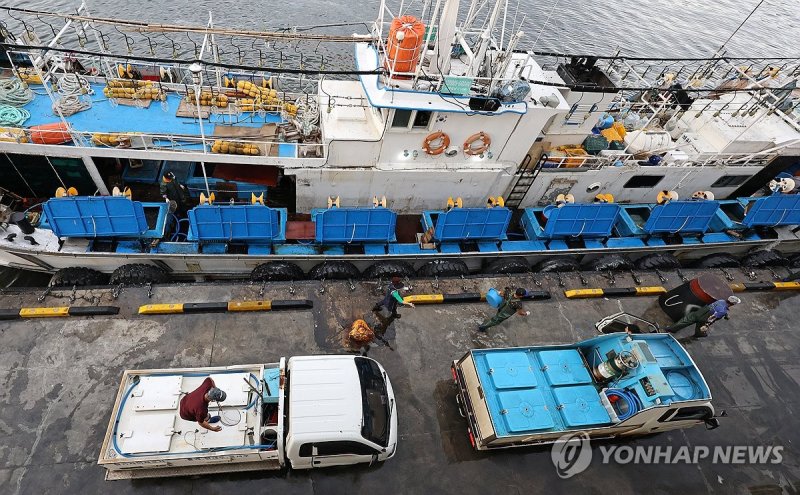 이달초 강릉 주문진항의 오징어 풍어 (출처=연합뉴스)