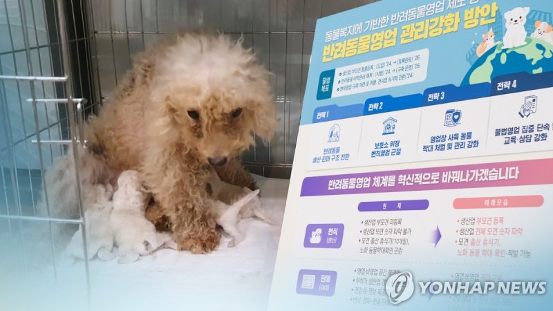 반려동물(CG) (출처=연합뉴스)