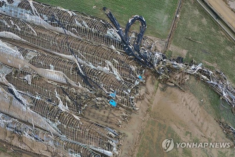 산청 딸기 비닐하우스 파손 (출처=연합뉴스)