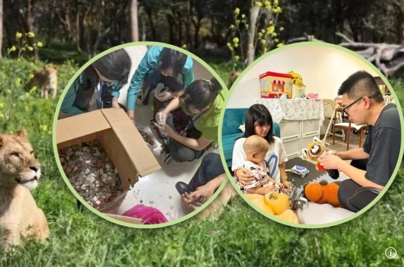 암 투병 2살 아이 위한 동물원의 기부 '감동'