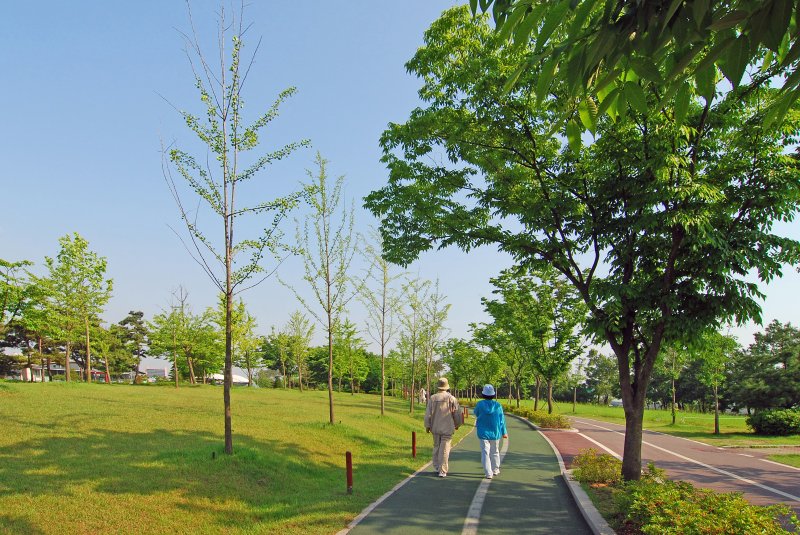 [서울=뉴시스] 하루에 7천 보만 걸어도 치매 예방할 수 있다. (사진=유토이미지). 2025.07.25. *재판매 및 DB금지*
