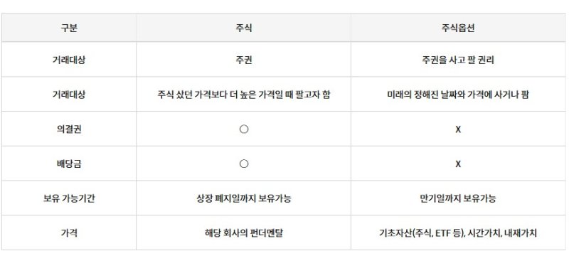 주식과 주식옵션 비교(자료=키움증권) *재판매 및 DB 금지