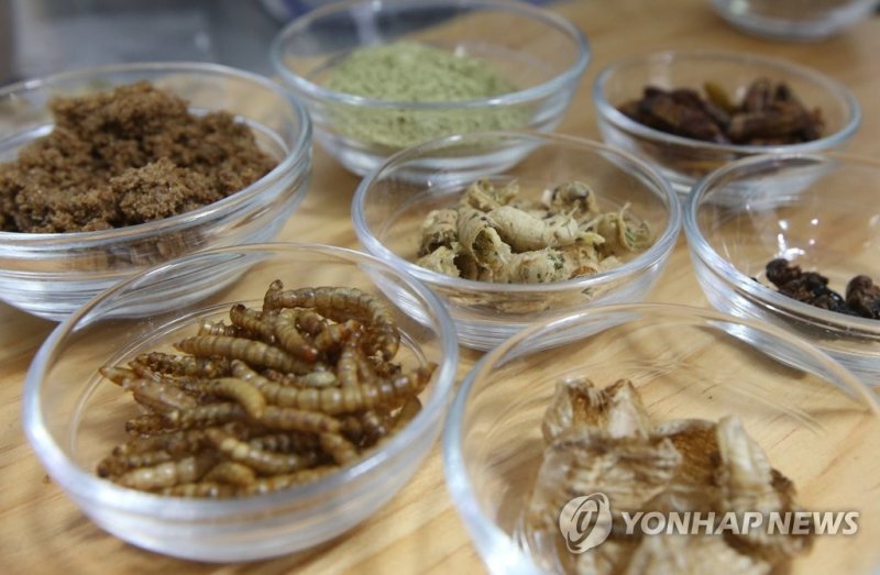 '미래 먹거리로 부상한 곤충' (출처=연합뉴스)