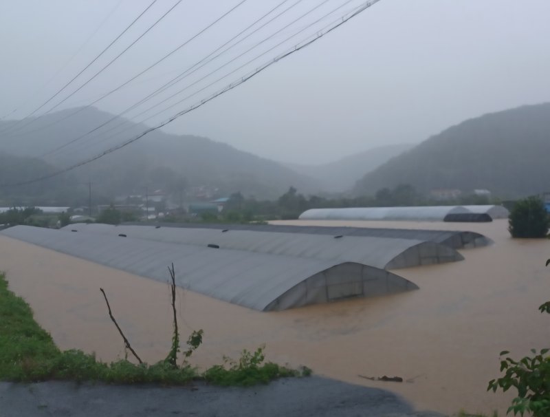 [진주=뉴시스] 정경규 기자 = 사진은 지난 19일 오후 경남 진주시 대곡면 덕곡리 비닐하우스 단지가 집중호우로 하천이 범람하면서 침수된 모습. 2025.07.19.jkgyu@newsis.com