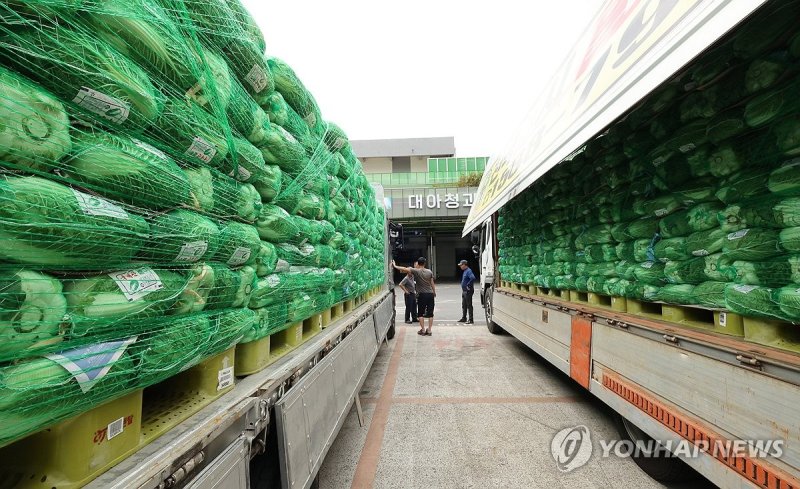 농산물 (출처=연합뉴스)