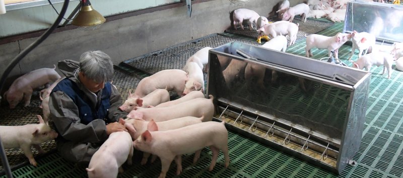 (사진은 기사 내용과 무관함) / 뉴스1 ⓒ News1 이철우 기자