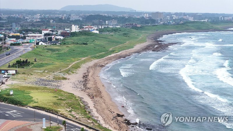 제주 신양 사구 (출처=연합뉴스)