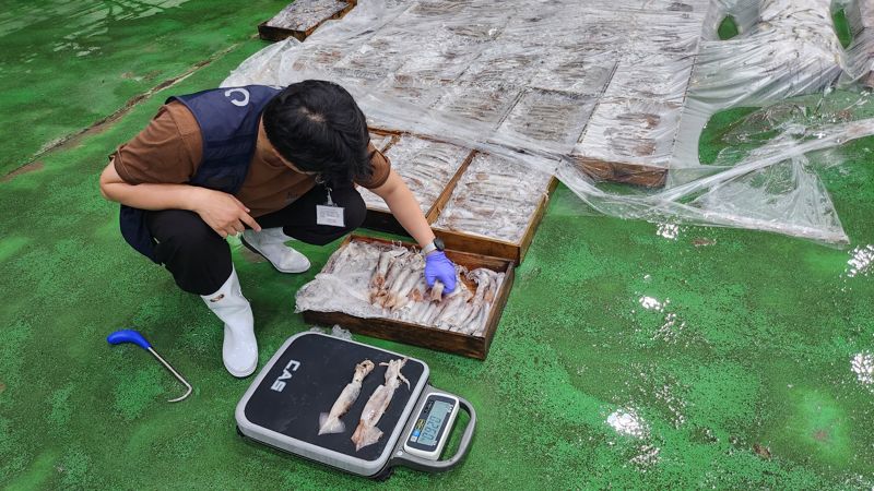 전남도, 총허용어획량 제도 시행 맞춰 세부 계획 수립 시행