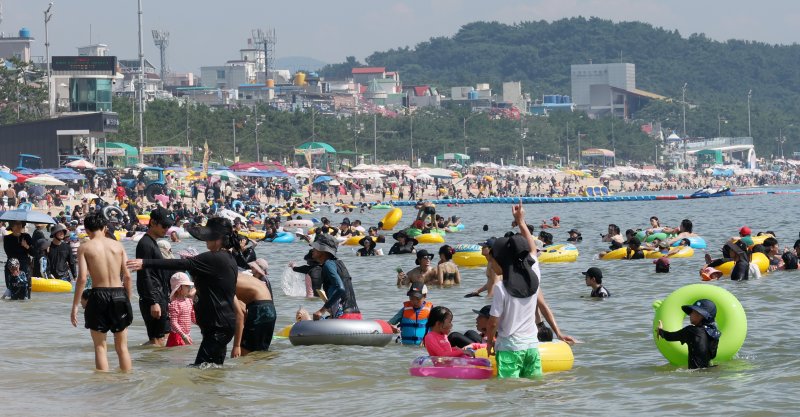 29일 폭염경보가 내려진 대전·충남은 체감온도가 35도 이상 오르는 폭염이 이어질 것으로 예보됐다. 충남 보령 대천해수욕장에서 관광객들이 해수욕을 즐기고 있다. /뉴스1 ⓒ News1 김기태 기자