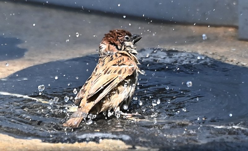 (출처=뉴시스/NEWSIS)