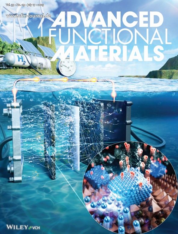 지난 17일 출간된 ‘어드밴스드 펑셔널 머티리얼즈(Advanced Functional Materials)’ 표지. POSTECH 제공