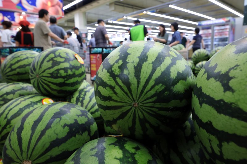 27일 서울 서초구의 한 대형마트를 찾은 고객들이 수박을 고르고 있다. 2025.7.27/뉴스1 ⓒ News1 박정호 기자