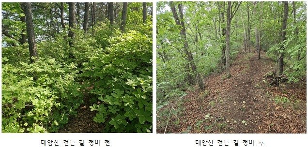 양구군 대암산 걷는 길 정비 전·후 비교 (출처=연합뉴스)