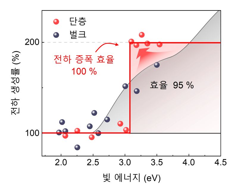 단일층 MoSe2에서의 빛에 의해 생성된 전자가 캐리어증폭을 통해 100% 증폭 효율을 달성하며, 전하 생성률 200% (양자효율기준)를 구현한 결과. 부산대 제공