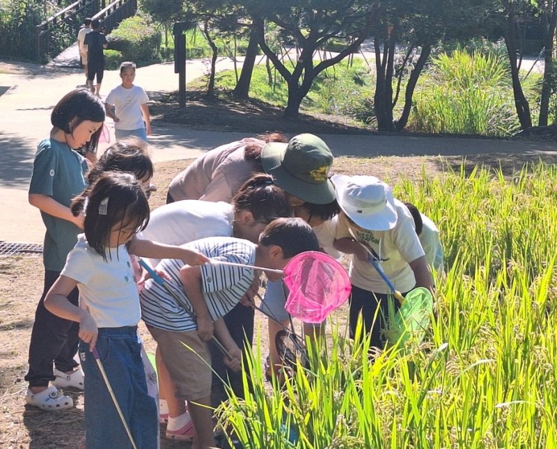 (서울 바카라구 제공)