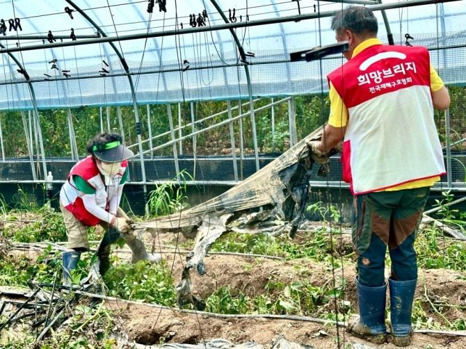 희망브리지 자원봉사자들이 경상남도 산청군 수해 피해 농가의 비닐하우스 내부에서 침수 잔해물을 제거하고 있다. 희망브리지 제공