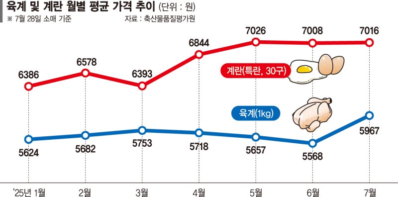 계란값 오르고 우유 생산량 뚝… 식탁 위 '히트플레이션'