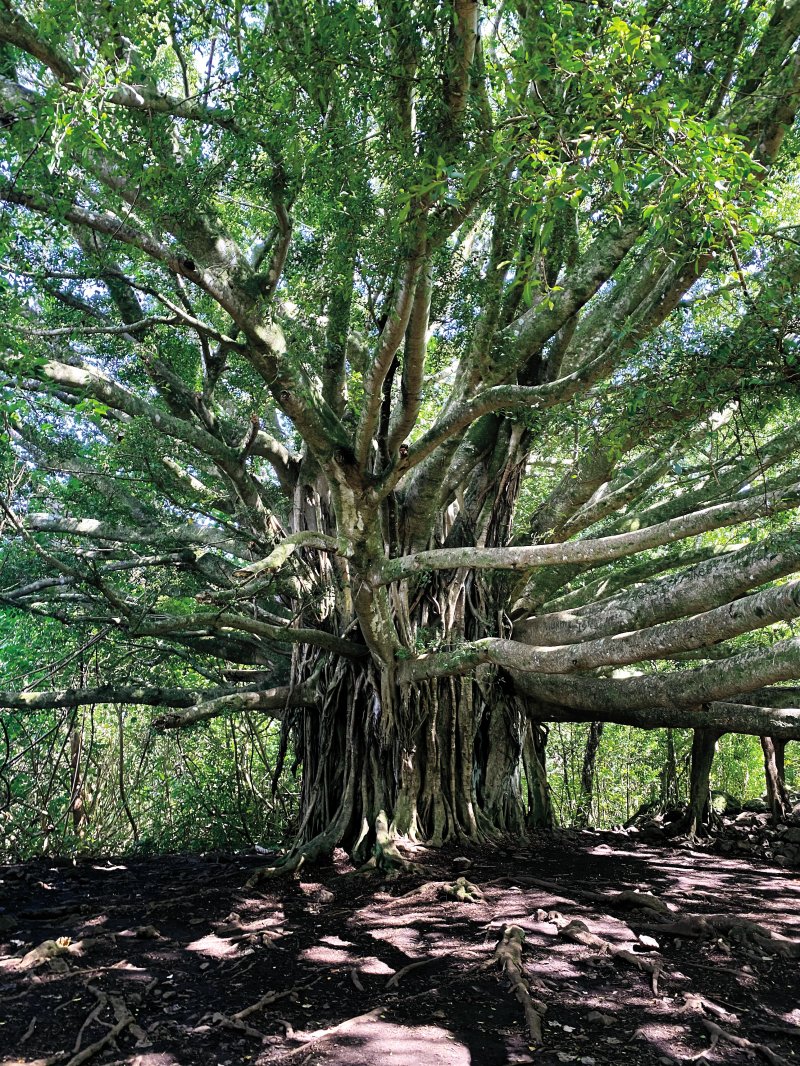 아들과 소통을 기도했던 하이킹… 마침내 서로 마음을 열었다 [Guideposts]