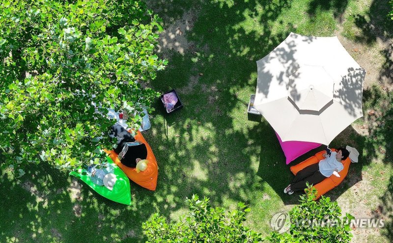 '나무 그늘에서 독서 어때요?'…수북수북 야외도서관 (출처=연합뉴스)