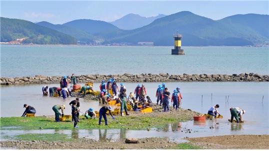 [통영=뉴시스] 신정철 기자= 통영시 해양보호구역 관리센터는 해양보호구역인 선촌마을의 아름다움과 생태적 가치를 널리 알리기 위해 2024년에 이어 2025년 선촌마을 해양보호구역 사진공모전 ‘잘피어라 게나 고둥이나'를 개최한다고 29일 밝혔다.사진은 지난해 성인부 장려상 작품.(사진=.통영시 해양보호구역 관리센터 제공).2025.07.29. photo@newsis.com *재판매 및 DB 금지