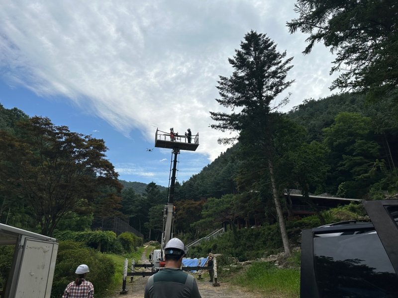 재선충병 예찰 (출처=연합뉴스)