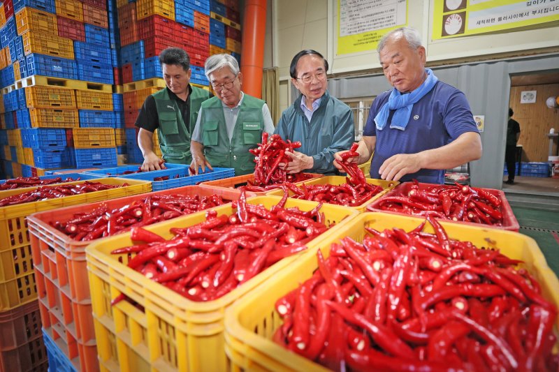 전북 임실군이 '홍실 고추' 수매에 돌입한 가운데 심민 군수(오른쪽 두번째)가 수매 현장을 방문했다.(임실군제공. 재판매 및 DB금지)2025.7.30/뉴스1