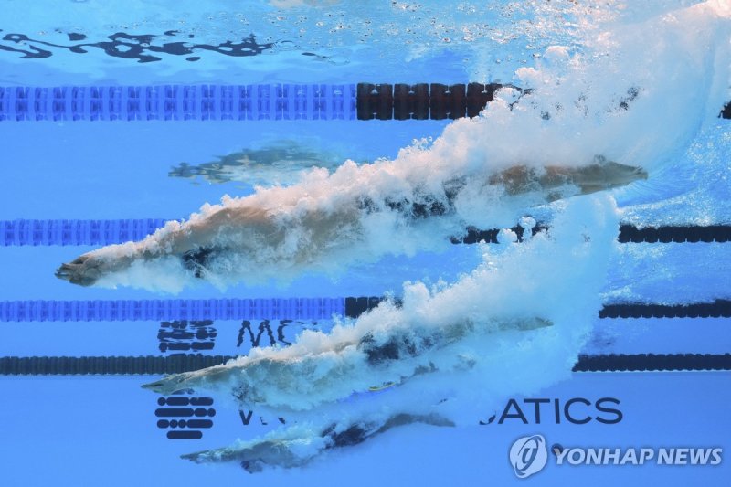황선우(가운데)의 자유형 100m 입수 (출처=연합뉴스)