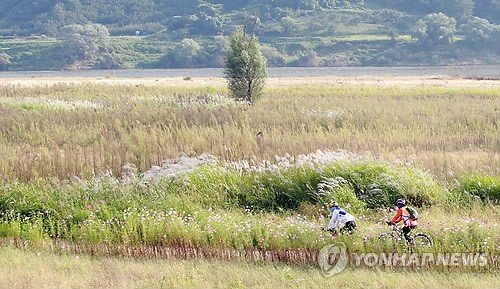 창녕함안보 인근 낙동강 자전거길 (출처=연합뉴스)