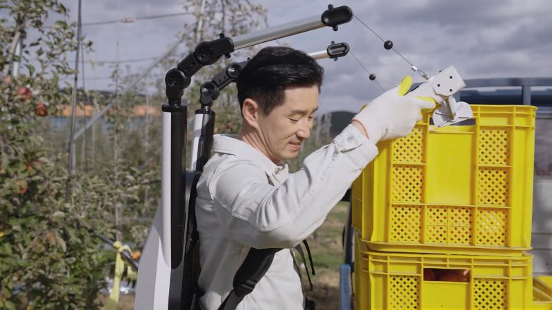 [포항=뉴시스] 송종욱 기자 = 한국로봇융합연구원(KIRO)은 농사일의 근력 부담을 획기적으로 줄이는 웨어러블 로봇 기술을 민간 기업에 이전하고, 본격적인 상용화에 나섰다. 사진은 작업자가 웨어러블 로봇 '들봇'을 이용해 과수 상자를 옮기는 모습. (사진=한국로봇융합연구원 제공) 2025.07.30. photo@newsis.com