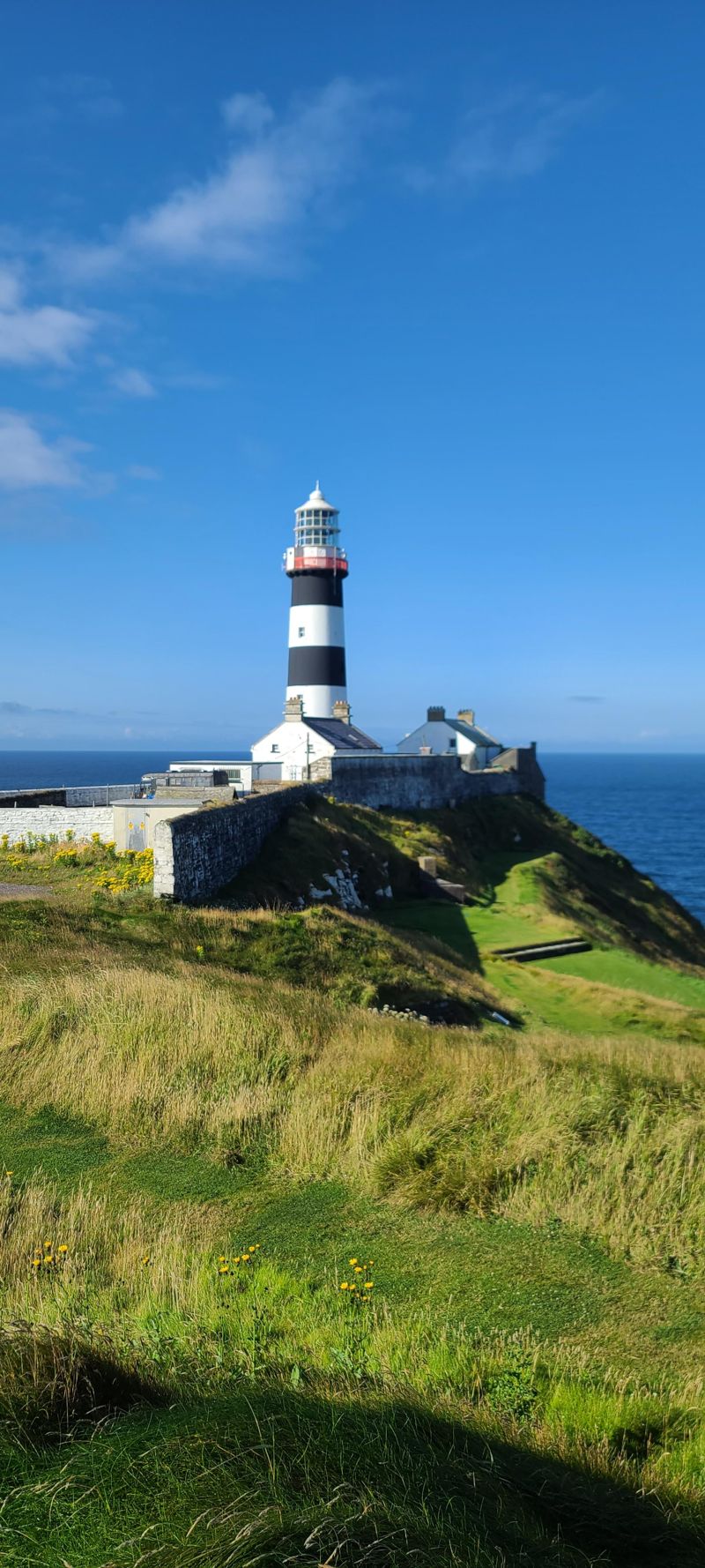 이지연의 클럽하우스 이재술 전 딜로이트안진회계법인 회장③