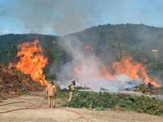 여수 임목 폐기장 화재 (출처=연합뉴스)