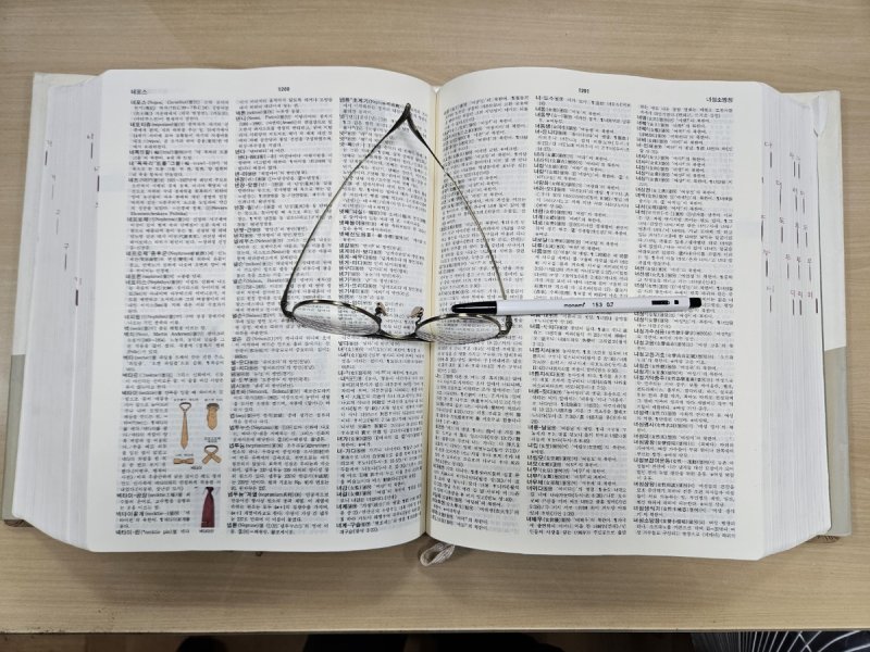 표준국어대사전 (출처=연합뉴스)