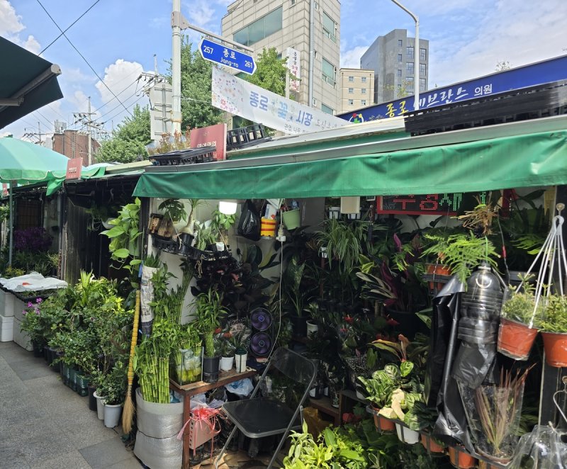 서울 종로꽃시장 (출처=연합뉴스)
