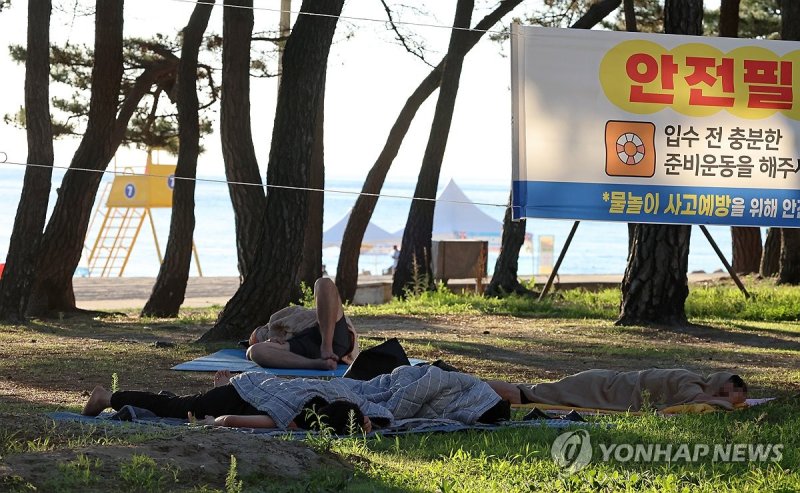 소나무 밑에서 (출처=연합뉴스)